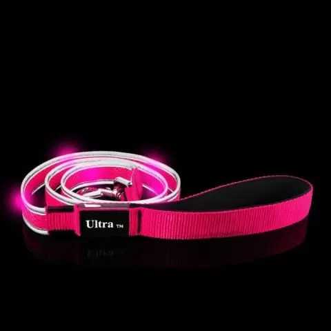 Flashing dog lead hot sale