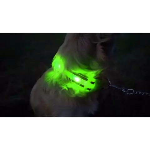 Ultra store green light