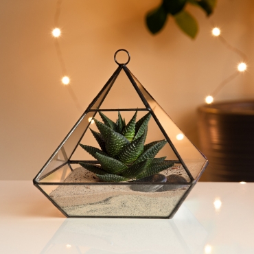 Ultra Pyramid Shaped Glass Terrarium Planter For Air Plants Cactus Small Succulents Or Wedding Table Centrepiece or Gift for a Modern Home Geometric