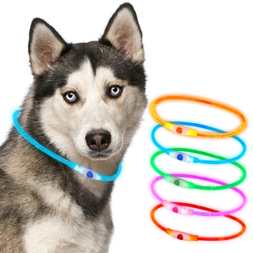 Ultra Blue USB Rechargeable Flashing LED Dog Collar Pet Safety Adjustable Light Up Night
