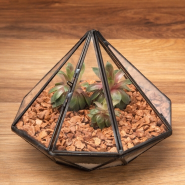 Ultra Diamond Shaped Glass Terrarium Planter For Air Plants Cactus Small Succulents Or Wedding Table Centrepiece or Gift Geometric 17x17x13cm