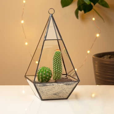 Triangular Shaped Glass Terrarium Planter For Air Plants Cactus Small Succulents & Wedding Table Centrepiece or Gift Geometric & Swing Lid 12x12x23.7cm