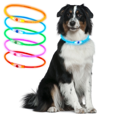 Ultra Blue USB Rechargeable Flashing LED Dog Collar Pet Safety Adjustable Light Up Night