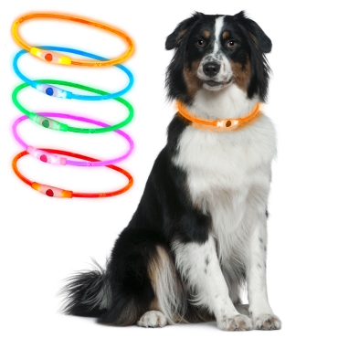 Ultra Orange USB Rechargeable Flashing LED Dog Collar Pet Safety Adjustable Light Up Night Time Super Bright Glowing Luminous High Visibility