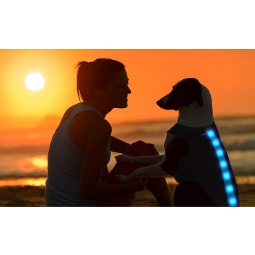 Blue Waterproof Dog Coat LED Jacket Dog Raincoats Waterproof for Night Time Walking Visibility Dog Rain Mac Fluorescent Dog Coats LED Dog Coat